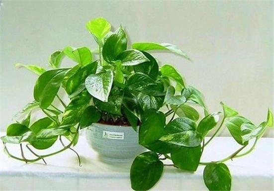 辦公室裝修設計去除異味.jpg 辦公室裝修設計去除異味.jpg