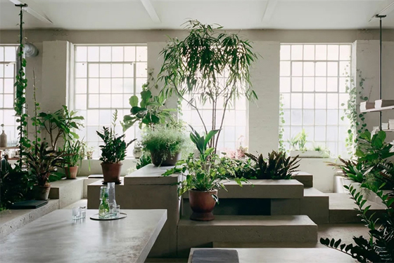 廣州辦公室裝修設(shè)計(jì) 廣州辦公室裝修設(shè)計(jì)