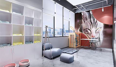 纖芊寵物用品辦公室裝修設計 纖芊寵物用品辦公室裝修設計